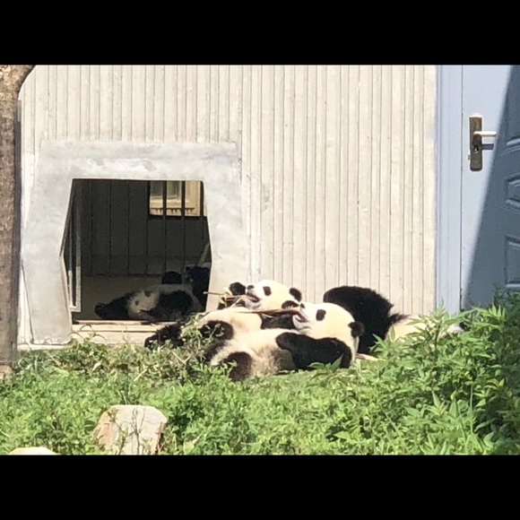 Meet your Posher, Alice - Picture 1 of 2